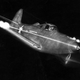 The Airacobra bares its fangs. Machine guns fire from the wings and ahead of the cockpit, while the cannon fires from the propeller spinner. (US Air Force)